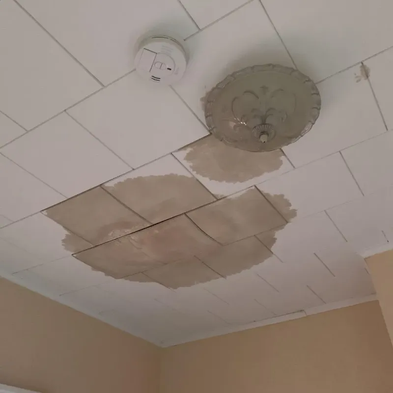 Ceiling Water Damage Repair in Mamou, LA